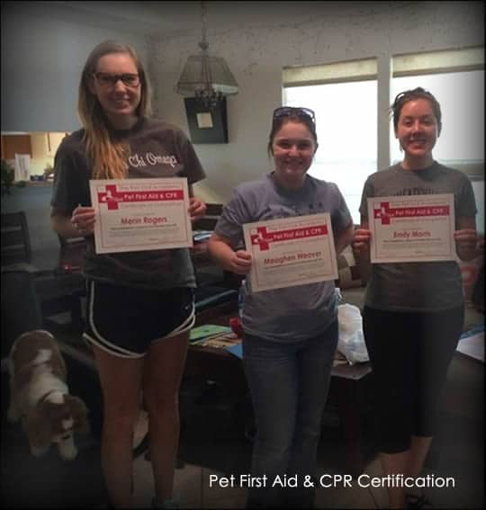 pet first aid and cpr certification