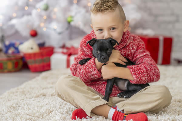 Did You Get A Puppy For Christmas? A Simple Guide To Puppy Parenting